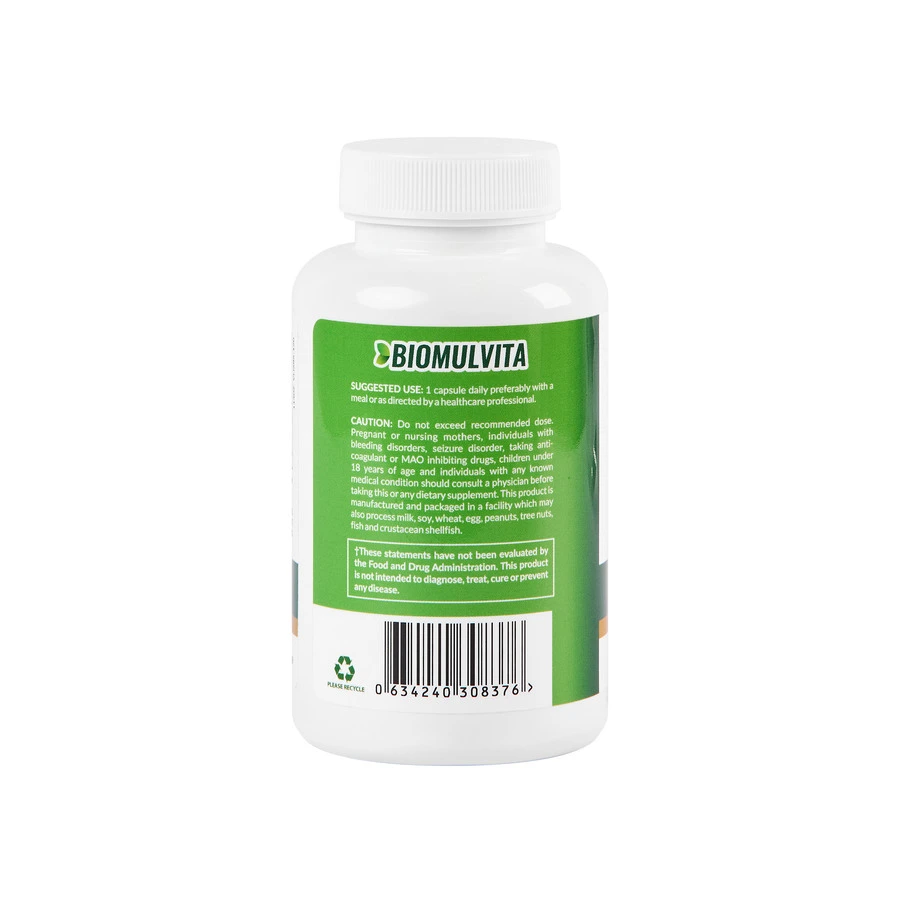 GINKGO BILOBA 120MG
