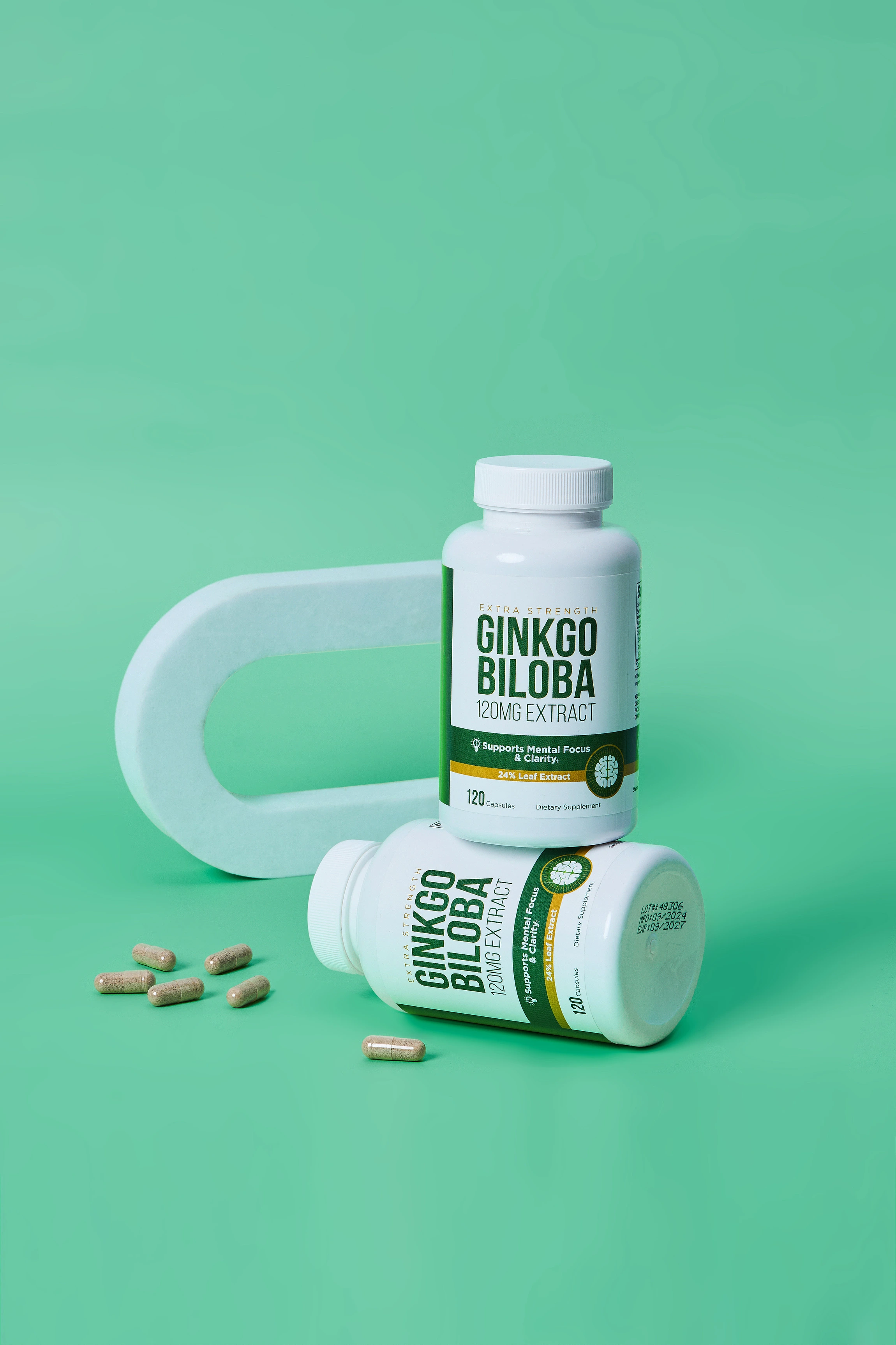 History of Ginkgo